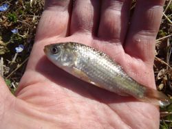 ファイル 1226-2.jpg