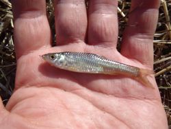 ファイル 1226-3.jpg