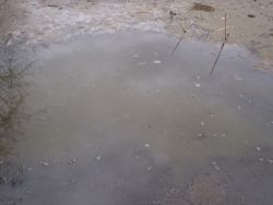 ファイル 1228-1.jpg