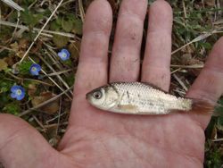 ファイル 1228-2.jpg