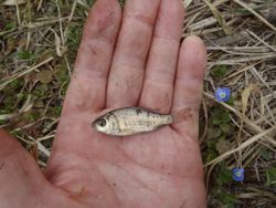 ファイル 1228-3.jpg