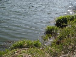 ファイル 1237-1.jpg