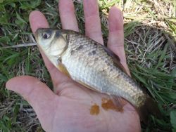 ファイル 1237-2.jpg