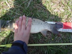 ファイル 1237-4.jpg