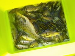 ファイル 1237-5.jpg