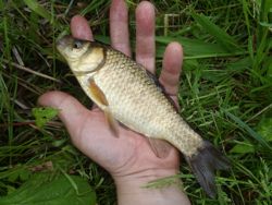 ファイル 1243-2.jpg