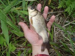 ファイル 1243-3.jpg