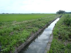 ファイル 1245-1.jpg