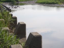 ファイル 1248-1.jpg