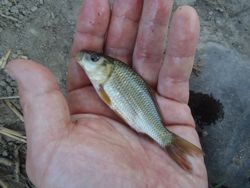 ファイル 1248-2.jpg