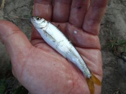 ファイル 1248-4.jpg