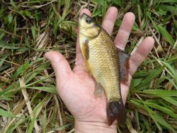 ファイル 1249-2.jpg