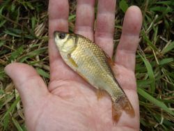 ファイル 1249-3.jpg