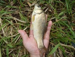 ファイル 1249-4.jpg