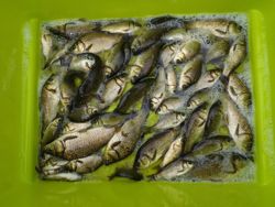 ファイル 1249-5.jpg