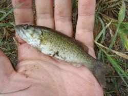 ファイル 1251-2.jpg