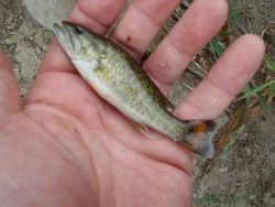 ファイル 1251-4.jpg