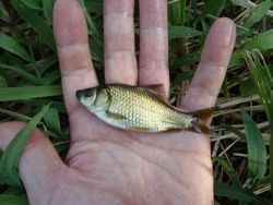 ファイル 1256-3.jpg