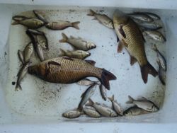 ファイル 1256-5.jpg