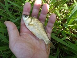 ファイル 1257-2.jpg