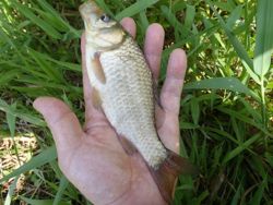 ファイル 1257-3.jpg