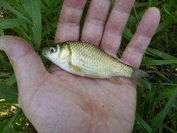 ファイル 1257-4.jpg