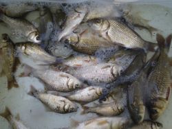 ファイル 1257-5.jpg