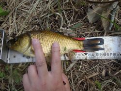 ファイル 1266-4.jpg