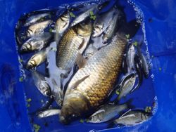 ファイル 1266-5.jpg