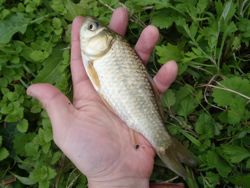 ファイル 1272-4.jpg