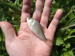 ファイル 1273-2.jpg