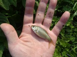 ファイル 1273-4.jpg