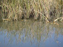 ファイル 1276-1.jpg