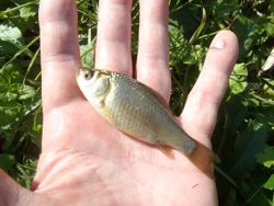 ファイル 1276-2.jpg