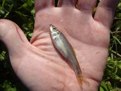 ファイル 1276-3.jpg