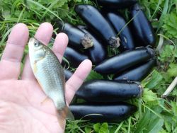 ファイル 1276-4.jpg