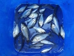 ファイル 1276-5.jpg