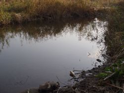 ファイル 1277-1.jpg