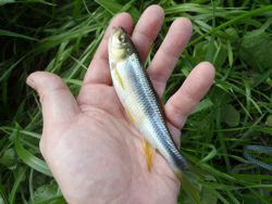 ファイル 1277-2.jpg