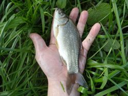 ファイル 1277-4.jpg