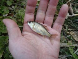 ファイル 1283-3.jpg