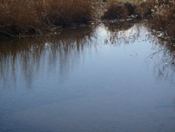 ファイル 1289-1.jpg