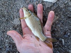 ファイル 1289-2.jpg