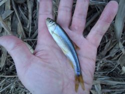 ファイル 1289-3.jpg