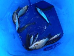 ファイル 1289-5.jpg