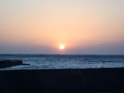 ファイル 1292-1.jpg