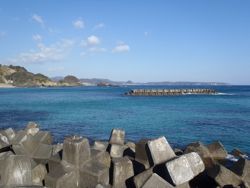 ファイル 1292-2.jpg