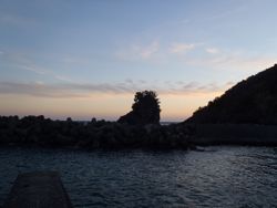 ファイル 1292-4.jpg