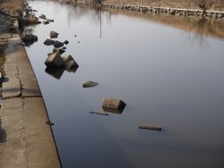 ファイル 1300-1.jpg