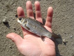 ファイル 1300-2.jpg